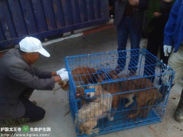 CECC9D0EEC4729D03C437A2C197F5B54_副本.gif