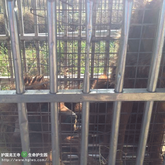 B6CEBA4ABECF8659B6D6D7400CC9D059_副本.gif