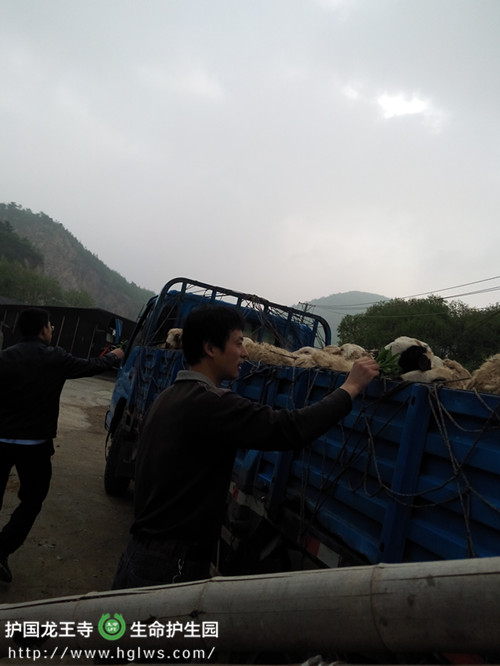 上车1.jpg