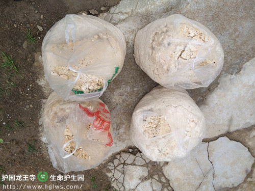 羊羊饲料.jpg