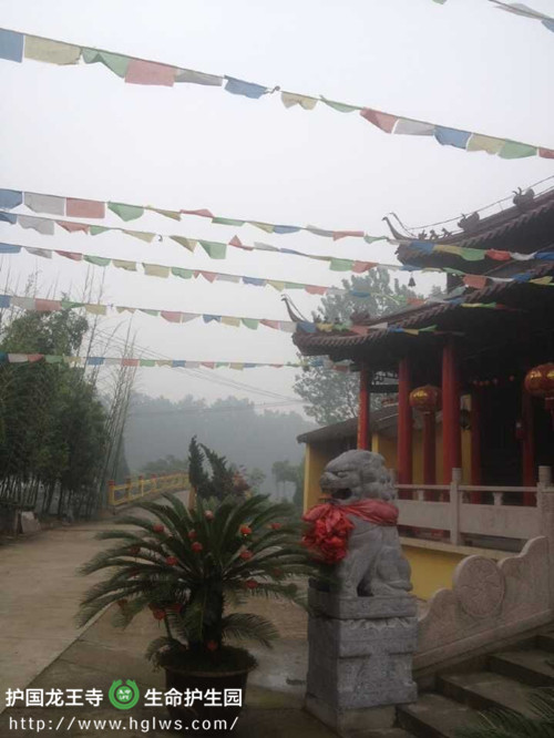 挂经幡.jpg