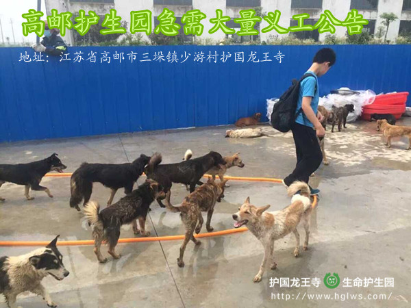 求助7.jpg