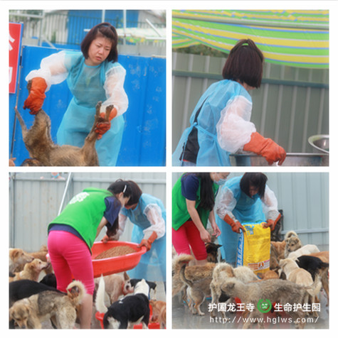 常离.jpg