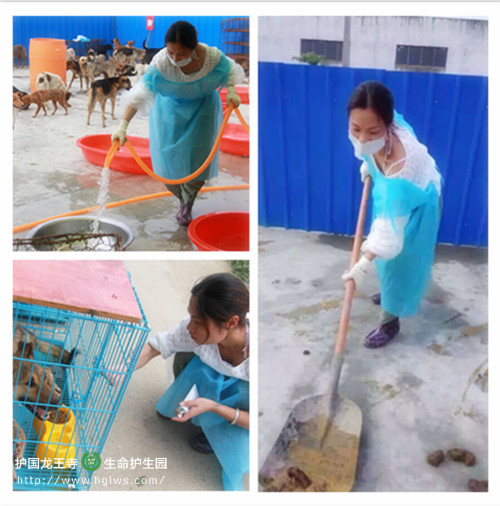 刘英.jpg