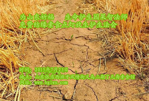 山东素食_副本.jpg