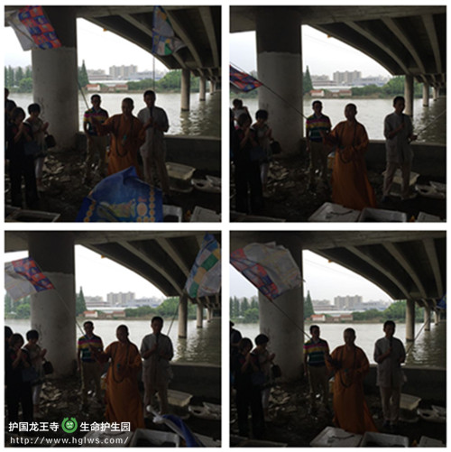 会旗.jpg