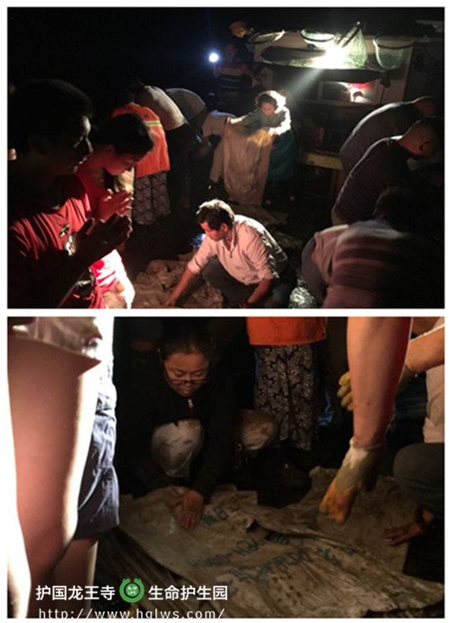 放生结尾 晚.jpg