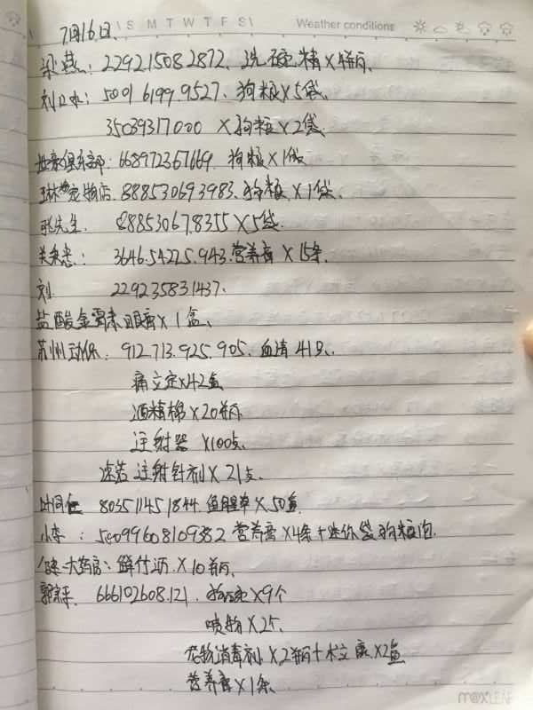 53.jpg
