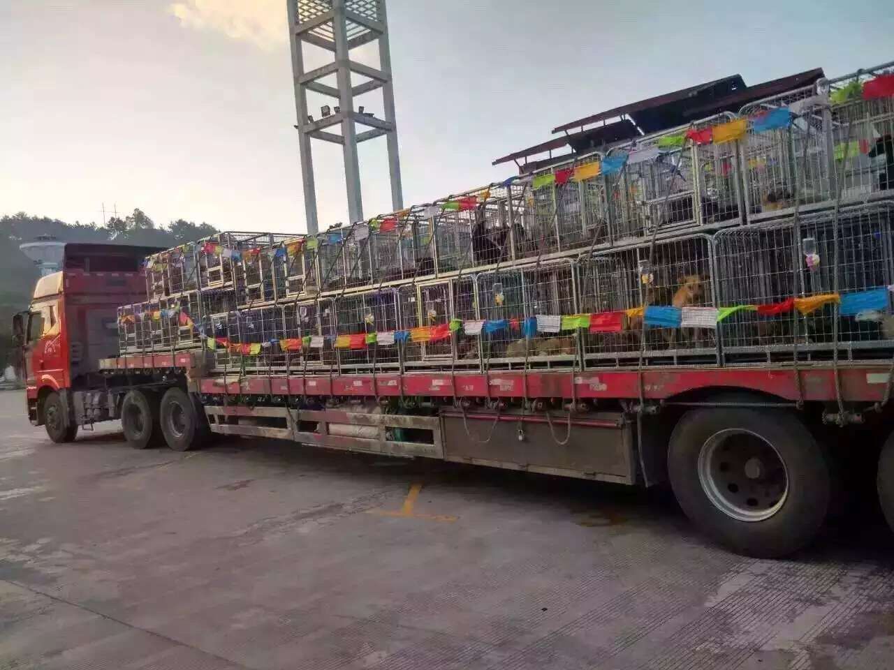 回家.jpg