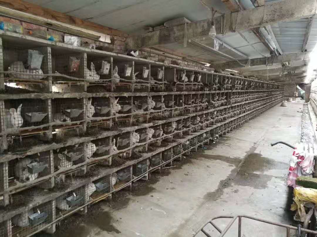 139194794602864783.jpg