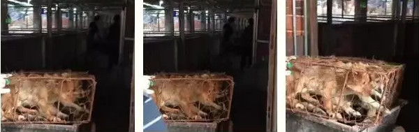 微信图片_20170619141304_副本_副本.jpg