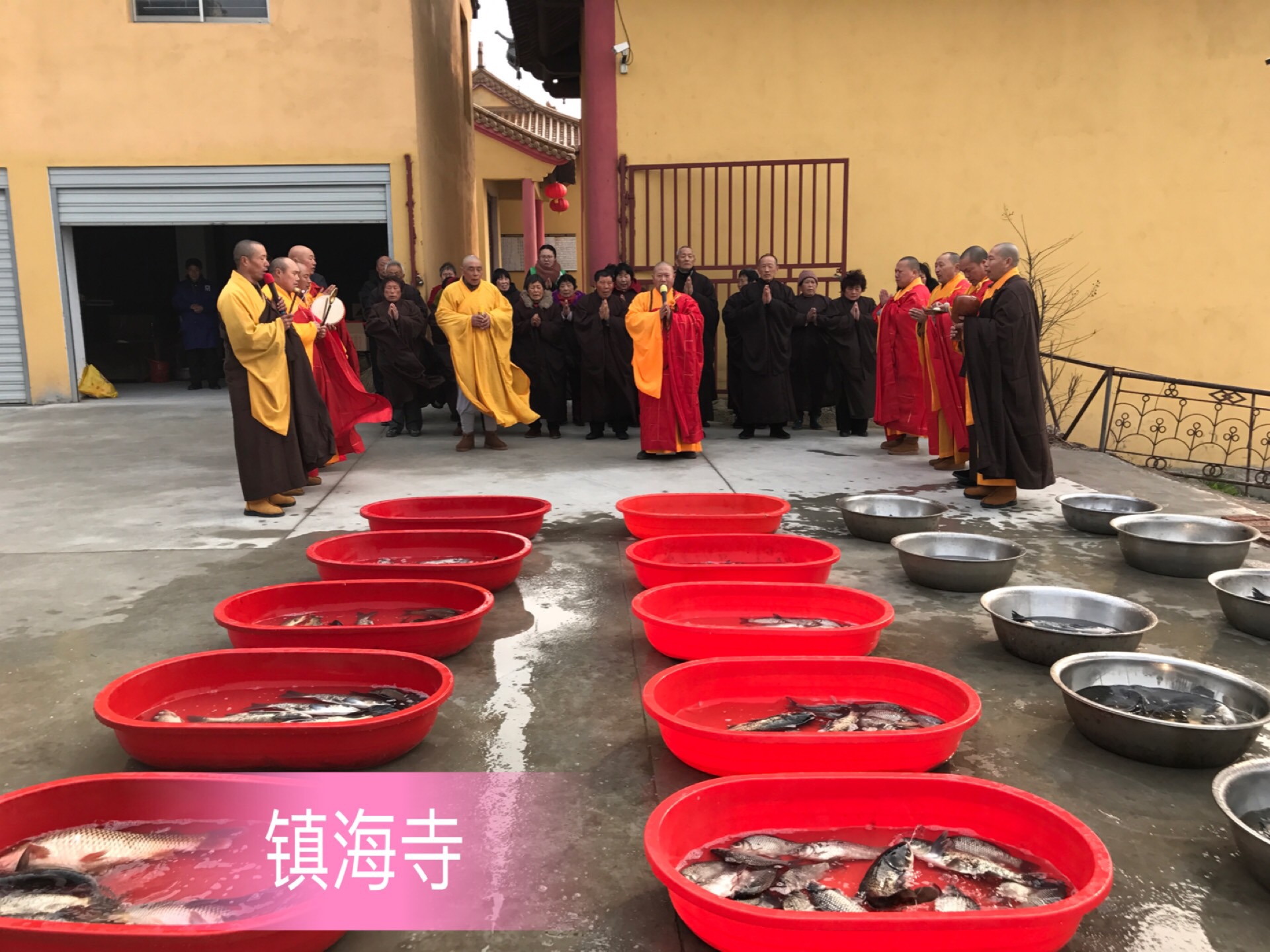 微信图片_201803101334181.jpg