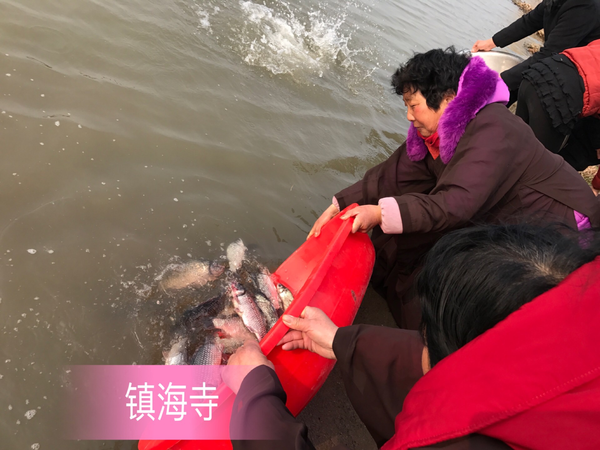 微信图片_201803101334188.jpg