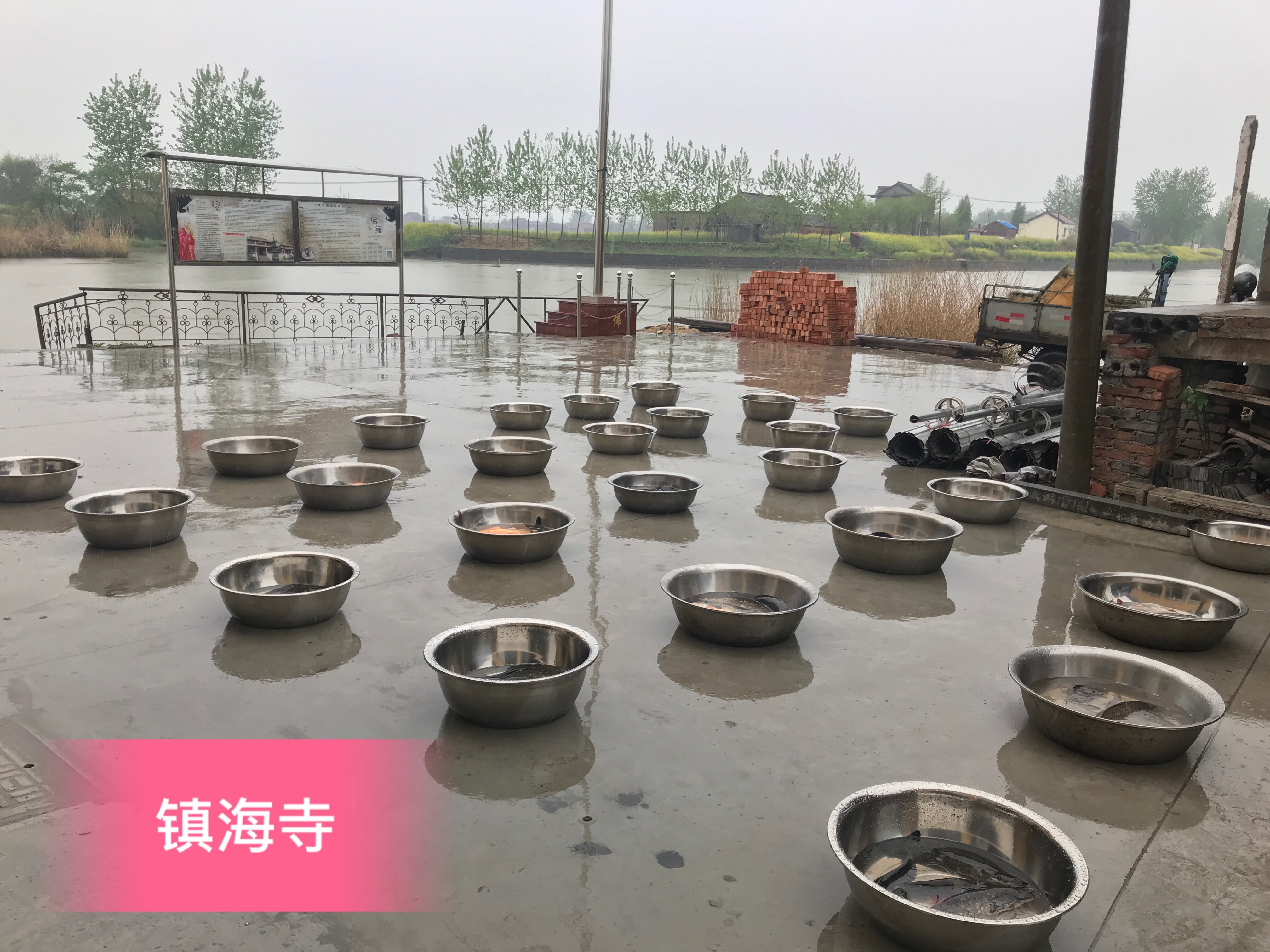 微信图片_201804091248489.jpg