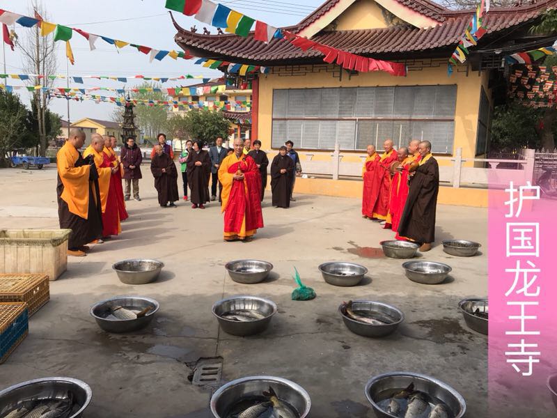 微信图片_201804091329228.jpg