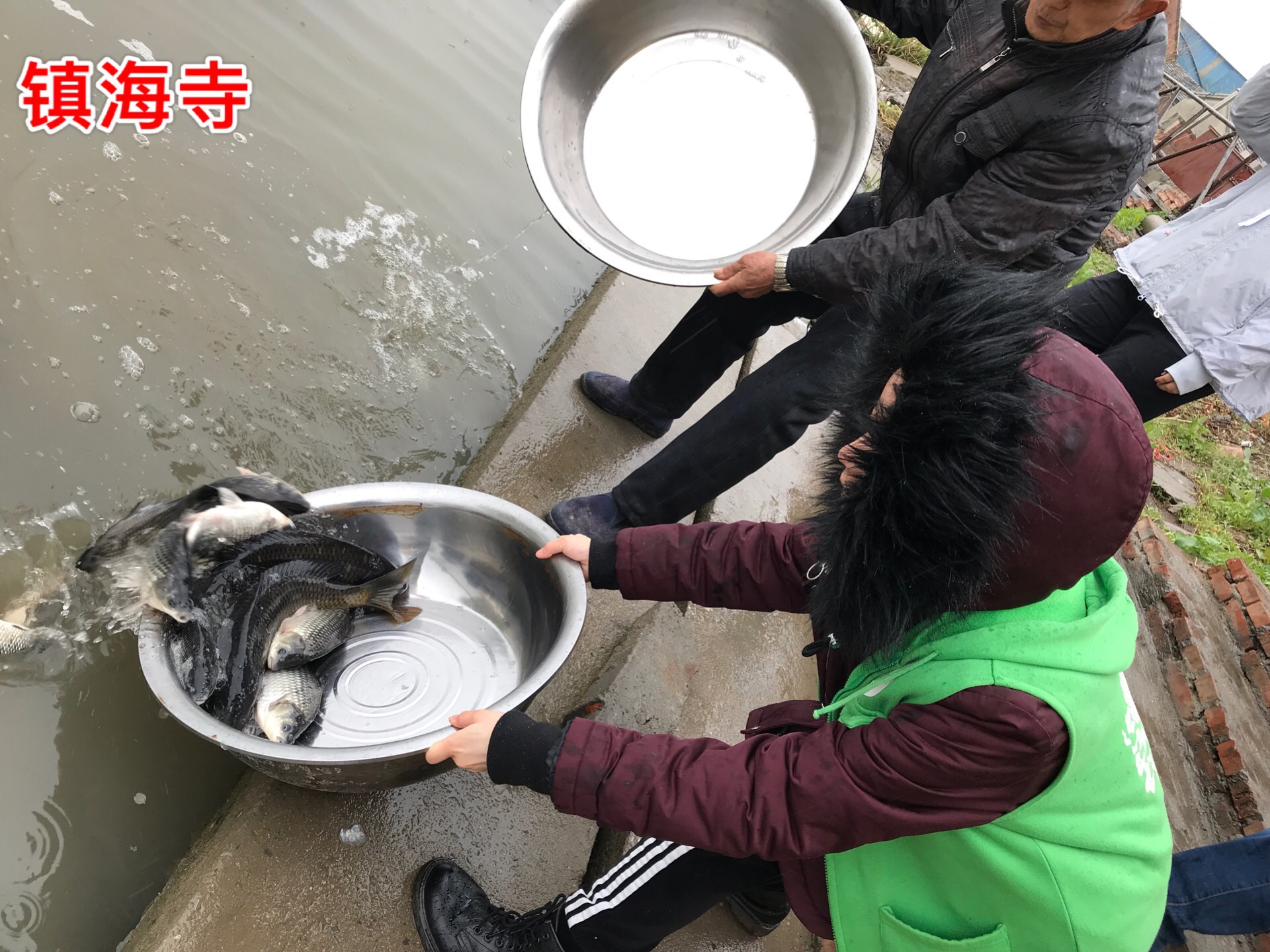 微信图片_2018040912484813.jpg