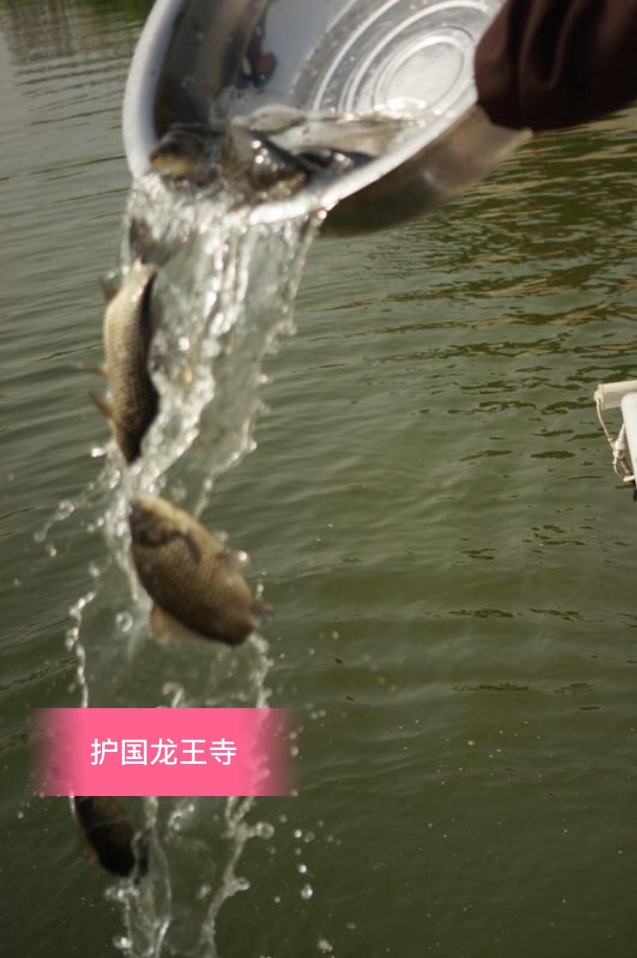 微信图片_20180409124849.jpg