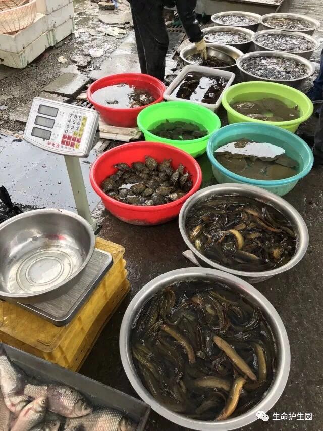 微信图片_201804181257152.jpg