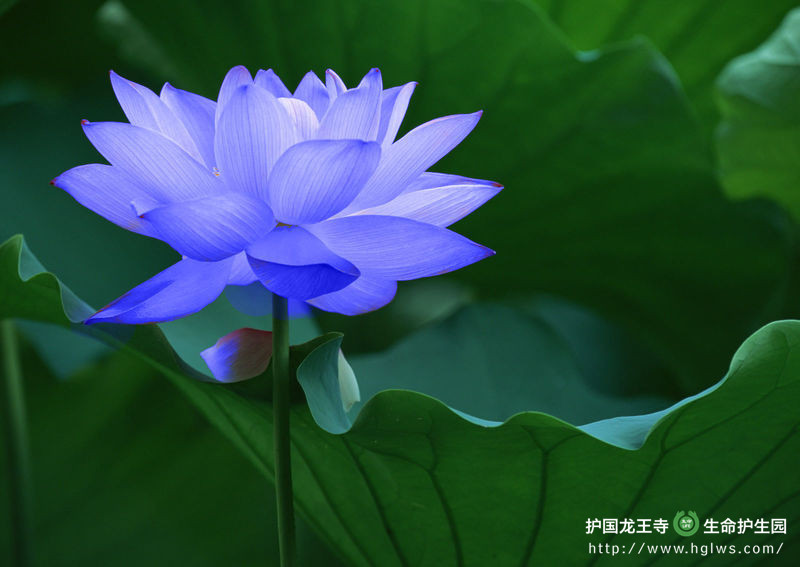 3_副本.jpg