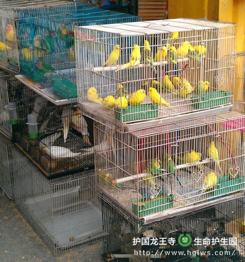 qaz_副本.jpg