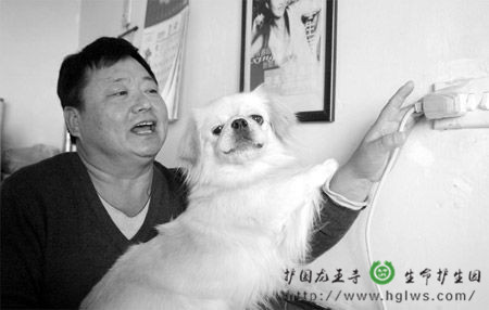 dian_副本.jpg