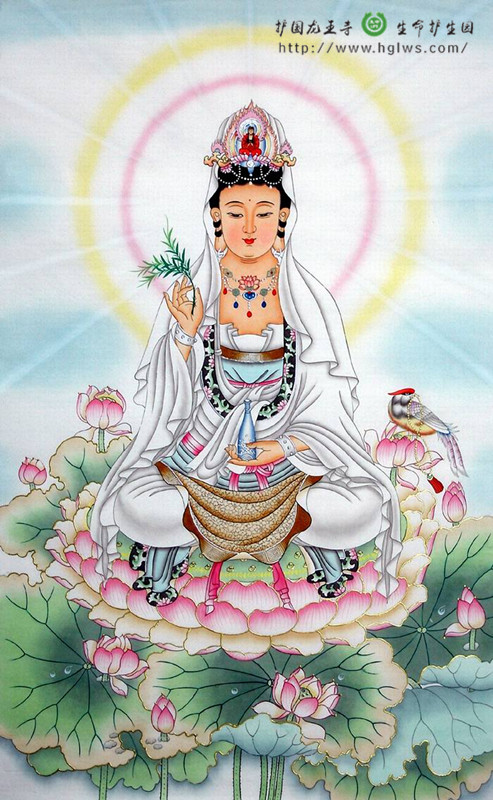19_副本.jpg